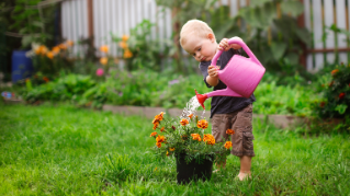 Connect with clients by sharing BC Home + Garden Show tickets