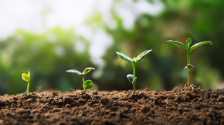 Beyond buying and selling: Help prepare our next leaders