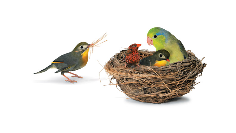 GVR and TELUS partner to create Welcome Home package for you to share with clients as they become new homeowners
