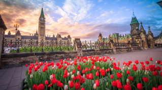 Federal budget helps homebuyers and renters