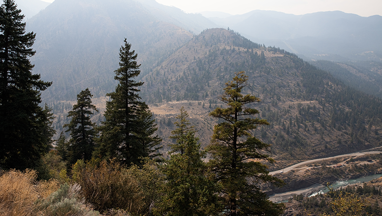 BCREA shares update on Musqueam agreements and Aboriginal title in BC