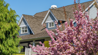 Spring market brings abundance of opportunity for buyers